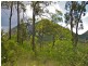 Cawarral QLD 4702