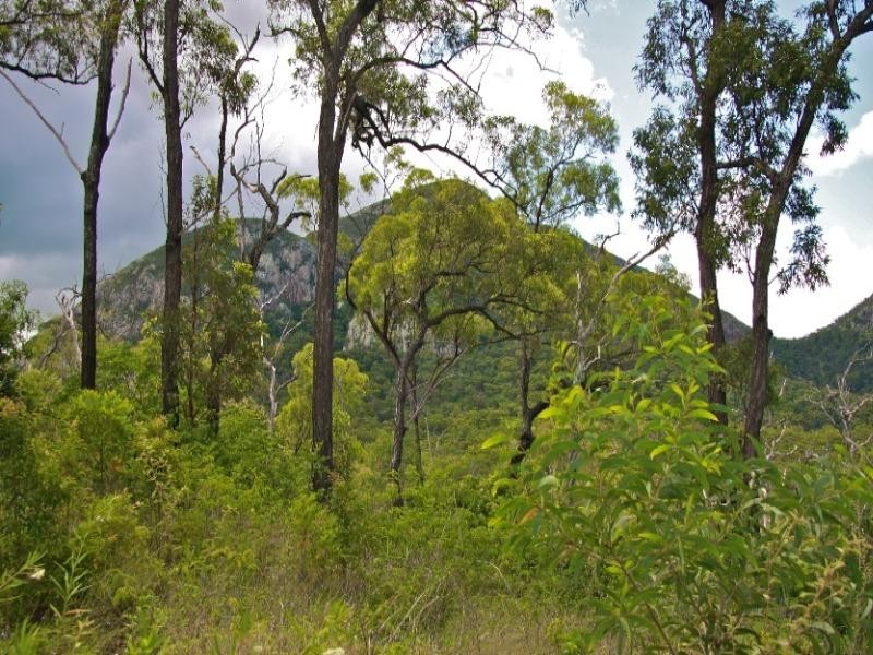 Cawarral QLD 4702