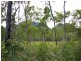 Cawarral QLD 4702