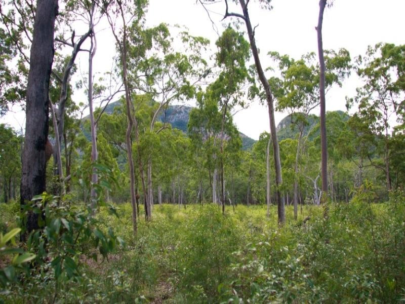 Cawarral QLD 4702