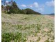 60 Schofield Parade, Keppel Sands QLD 4702