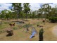 43 Cemetery Road, Cawarral QLD 4702