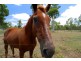 43 Cemetery Road, Cawarral QLD 4702