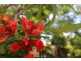39 Bernard Street, Berserker QLD 4701