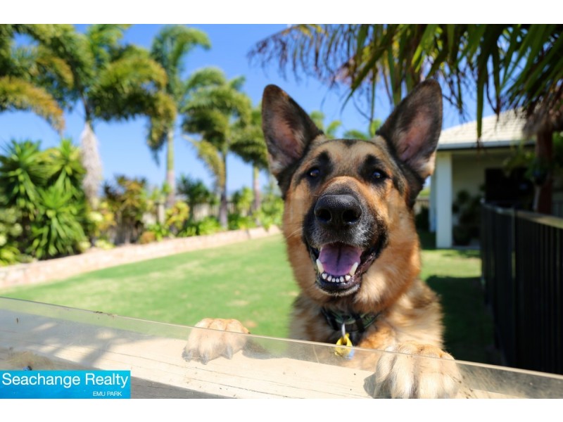 19 Monte Carlo Avenue, Zilzie QLD 4710