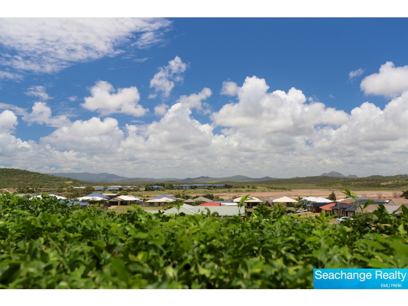 51 Larnach Street, Zilzie QLD 4710