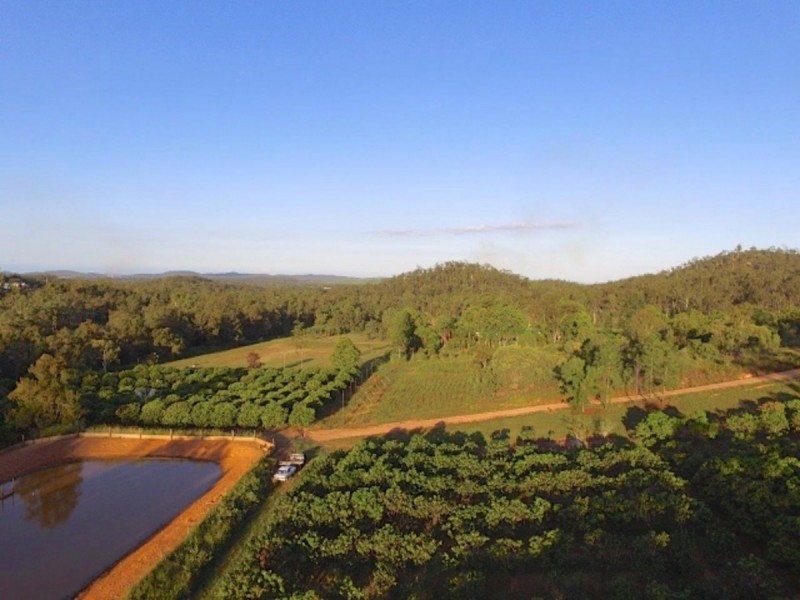 49 Clinton Road, Cawarral QLD 4702