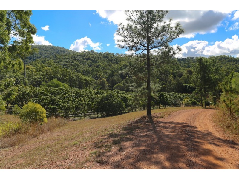 49 Clinton Road, Cawarral QLD 4702