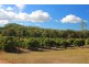 49 Clinton Road, Cawarral QLD 4702