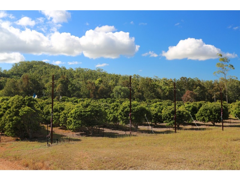 49 Clinton Road, Cawarral QLD 4702