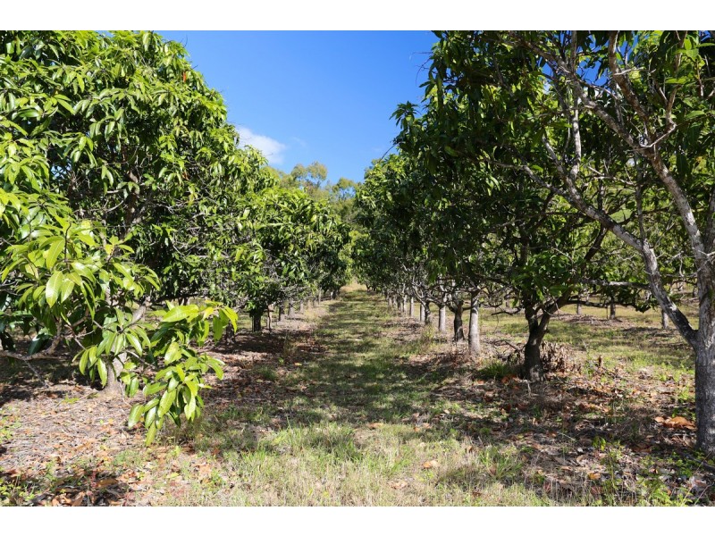 49 Clinton Road, Cawarral QLD 4702