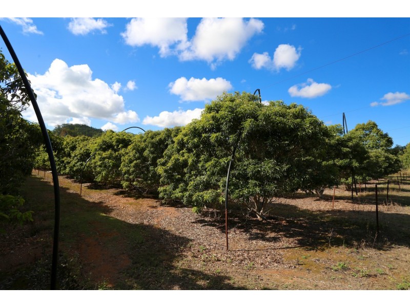 49 Clinton Road, Cawarral QLD 4702