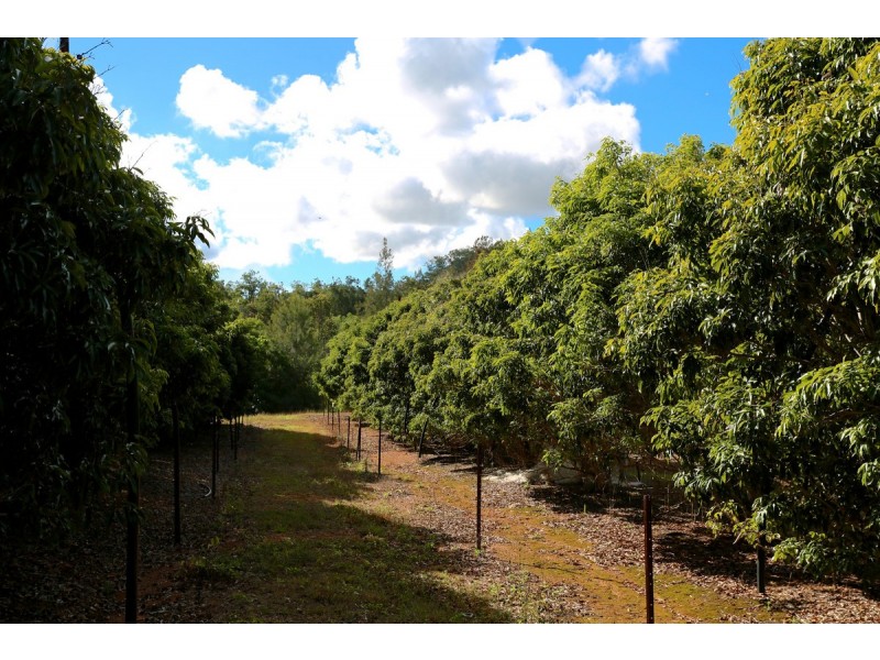 49 Clinton Road, Cawarral QLD 4702