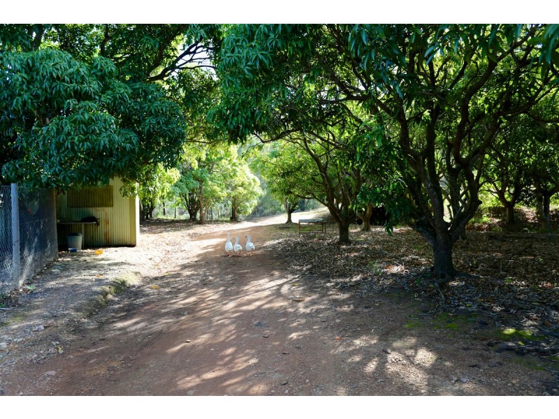 49 Clinton Road, Cawarral QLD 4702