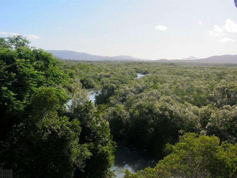 3 Carlo Corner, Keppel Sands QLD 4702