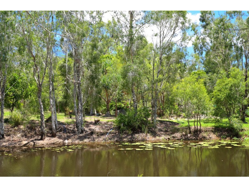 328 Sleipner Road, Mount Chalmers QLD 4702