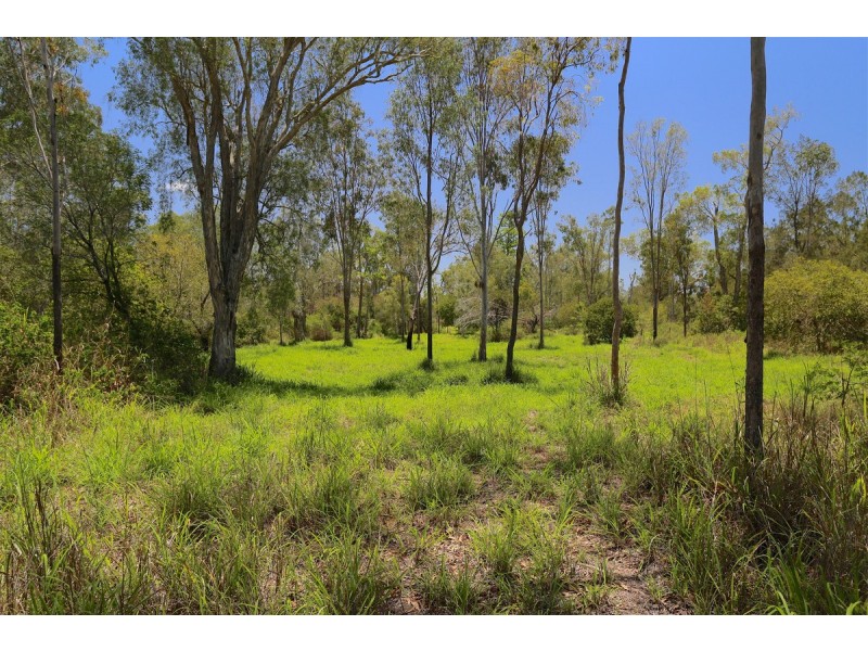 328 Sleipner Road, Mount Chalmers QLD 4702