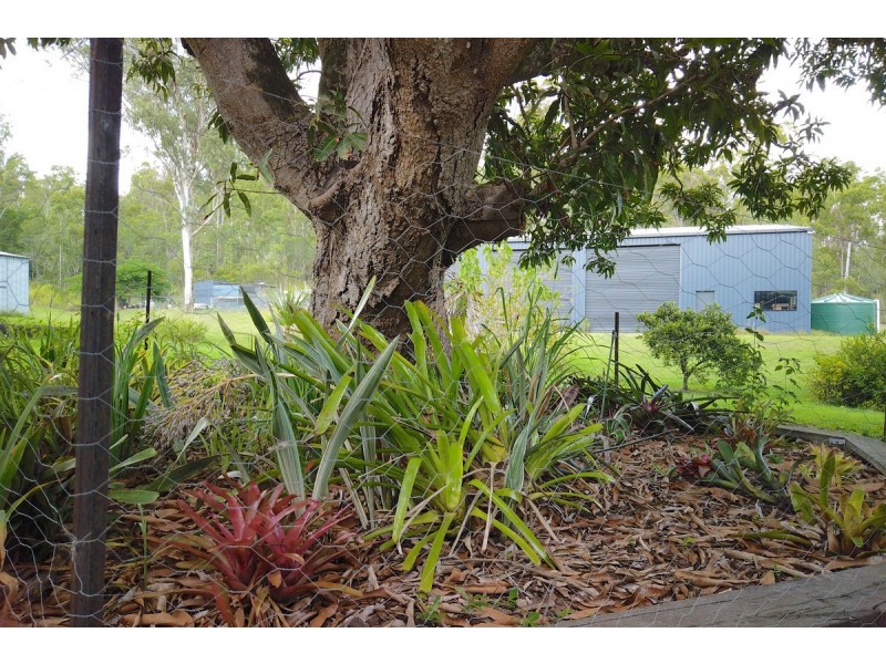 10 Harold Road, Mount Chalmers QLD 4702