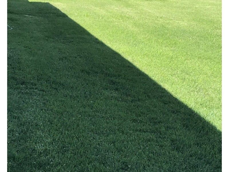 5 Timaru Place, Emu Park QLD 4710