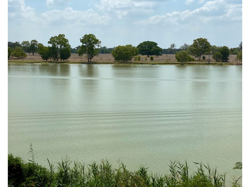 71 Farm Street, Kawana QLD 4701