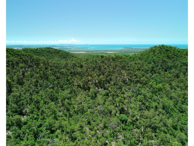 63 Tranquil Valley Road, Tungamull QLD 4702