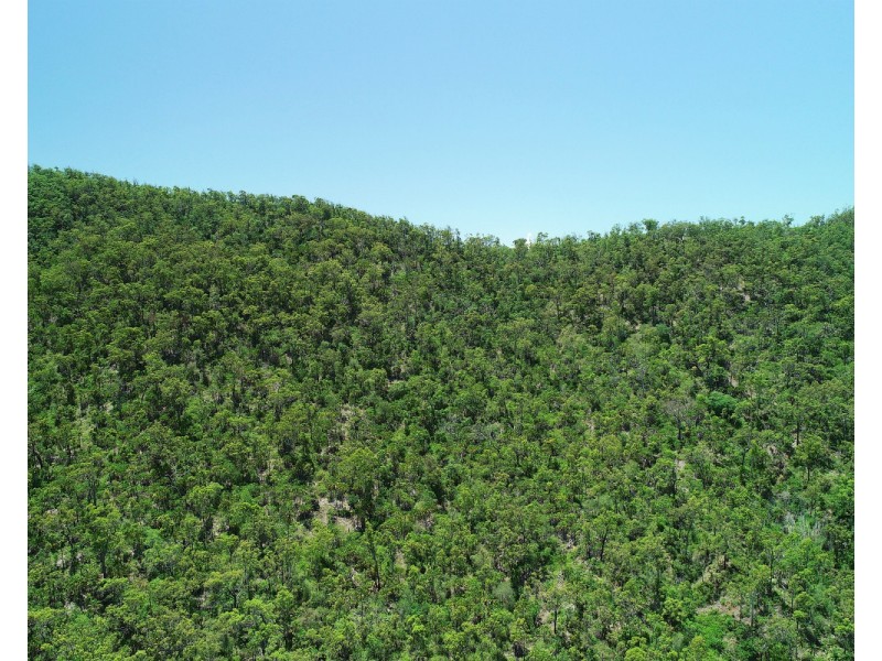 63 Tranquil Valley Road, Tungamull QLD 4702