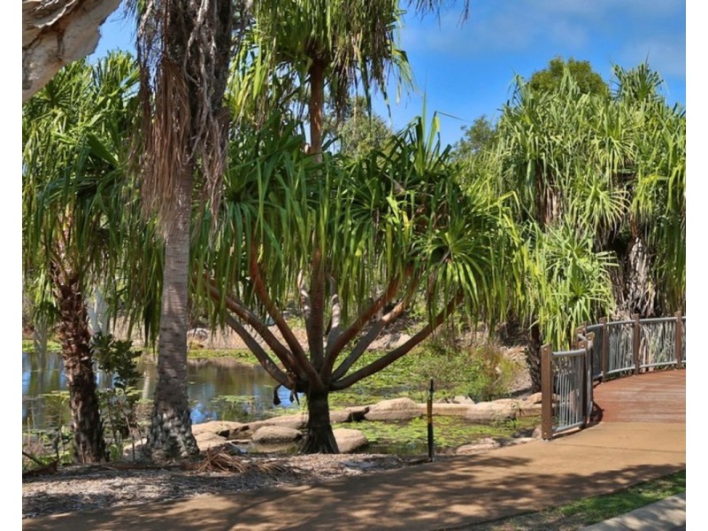 10 Plantation Drive, Taroomball QLD 4703