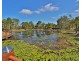 14 Plantation Drive, Taroomball QLD 4703