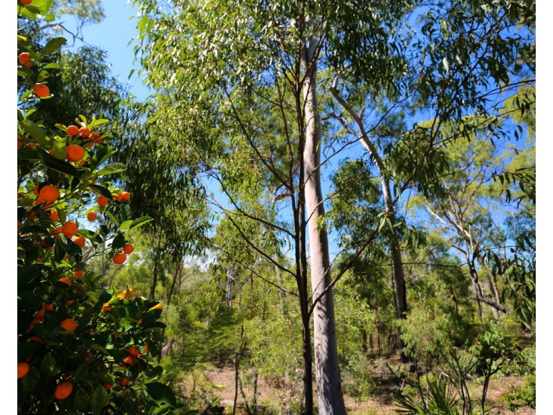 837 Coowonga Road, Keppel Sands QLD 4702