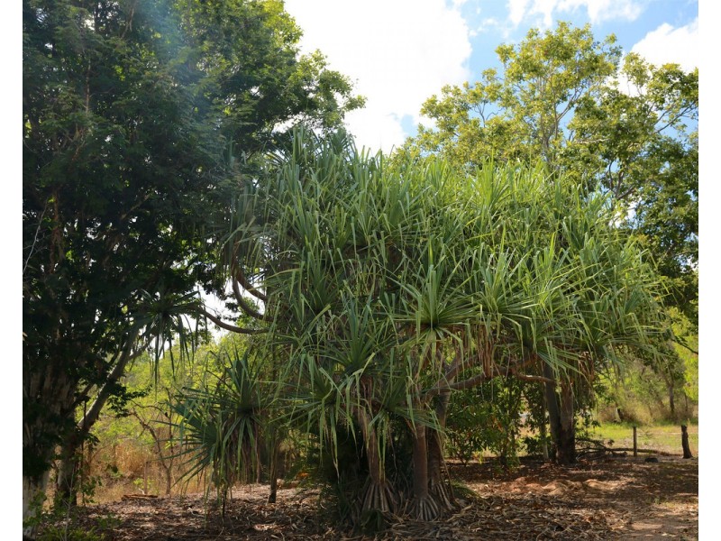 1755 Emu Park Road, Tungamull QLD 4702