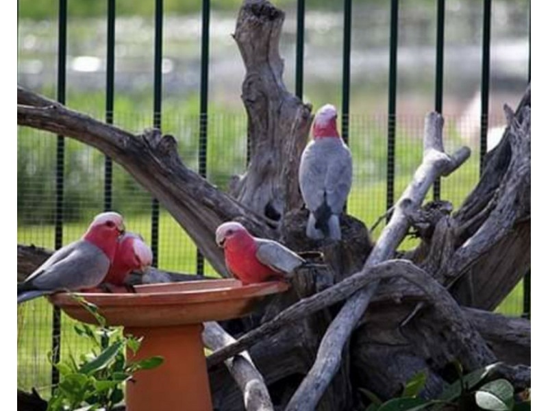 9 Monaco Drive, Zilzie QLD 4710