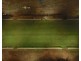 381 Joskeleigh Road, Joskeleigh QLD 4702