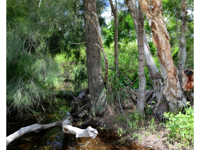 65 Venture Road, Mount Chalmers QLD 4702