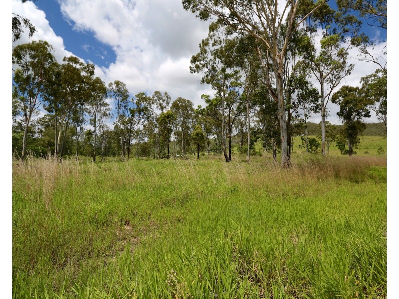 65 Venture Road, Mount Chalmers QLD 4702