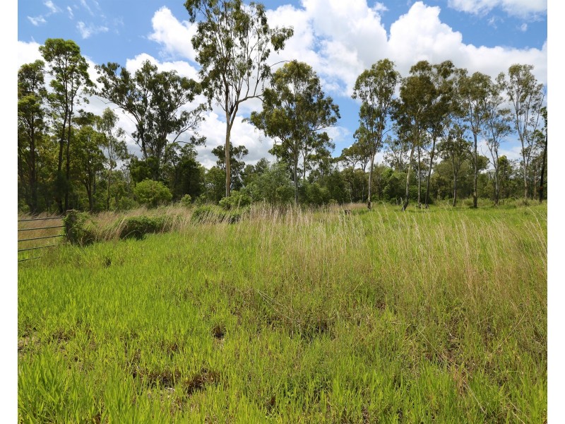 65 Venture Road, Mount Chalmers QLD 4702