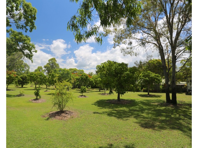 336 Cawarral Road, Cawarral QLD 4702