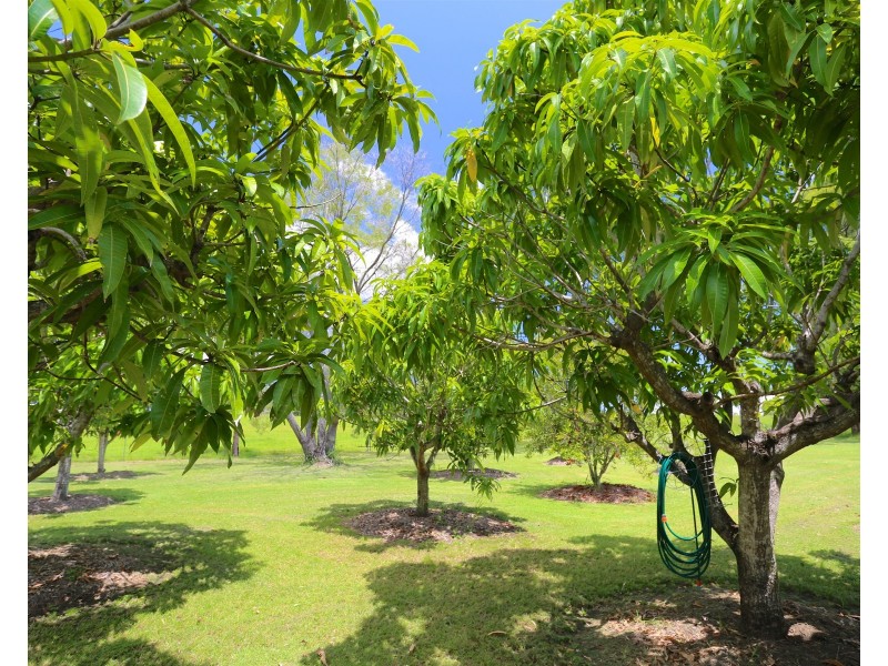 336 Cawarral Road, Cawarral QLD 4702