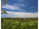 8 Hideaway Road, Zilzie QLD 4710