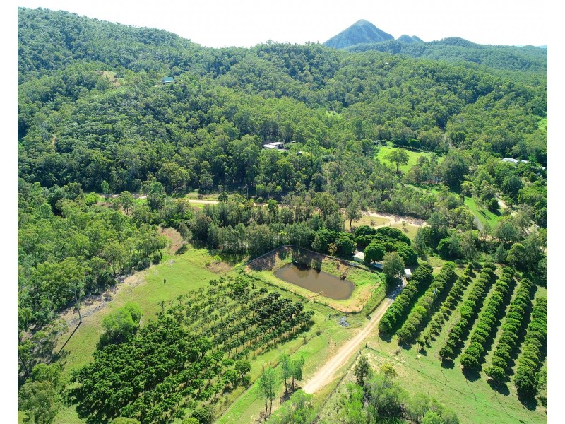 49 Clinton Road, Cawarral QLD 4702