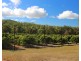 49 Clinton Road, Cawarral QLD 4702