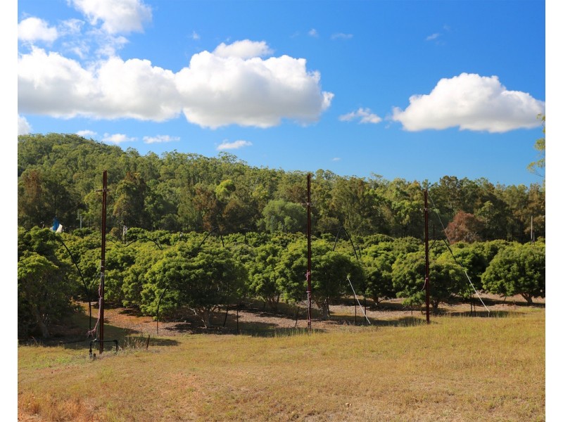 49 Clinton Road, Cawarral QLD 4702