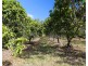 49 Clinton Road, Cawarral QLD 4702
