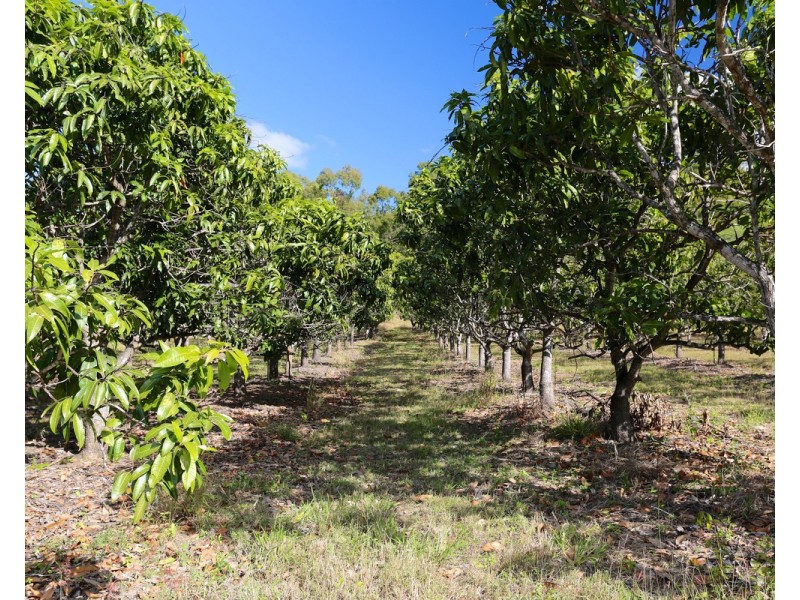 49 Clinton Road, Cawarral QLD 4702