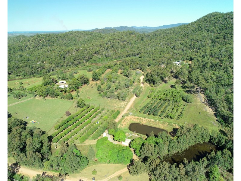 49 Clinton Road, Cawarral QLD 4702