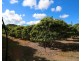 49 Clinton Road, Cawarral QLD 4702
