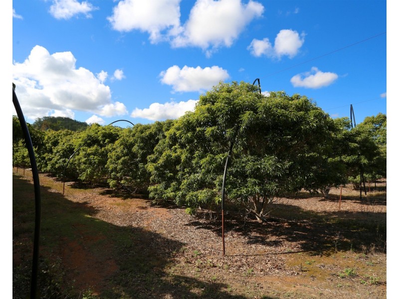 49 Clinton Road, Cawarral QLD 4702