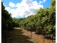 49 Clinton Road, Cawarral QLD 4702