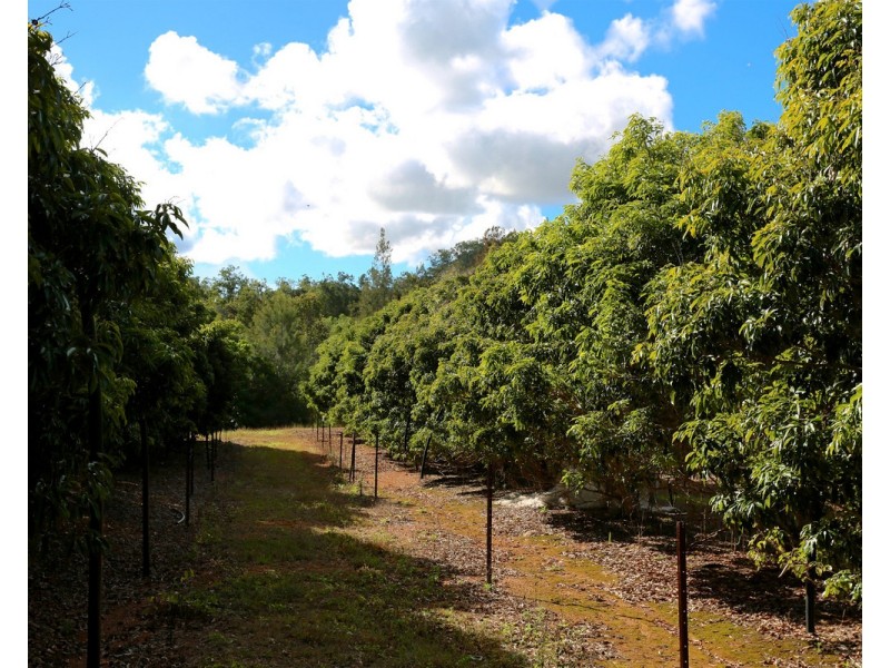 49 Clinton Road, Cawarral QLD 4702