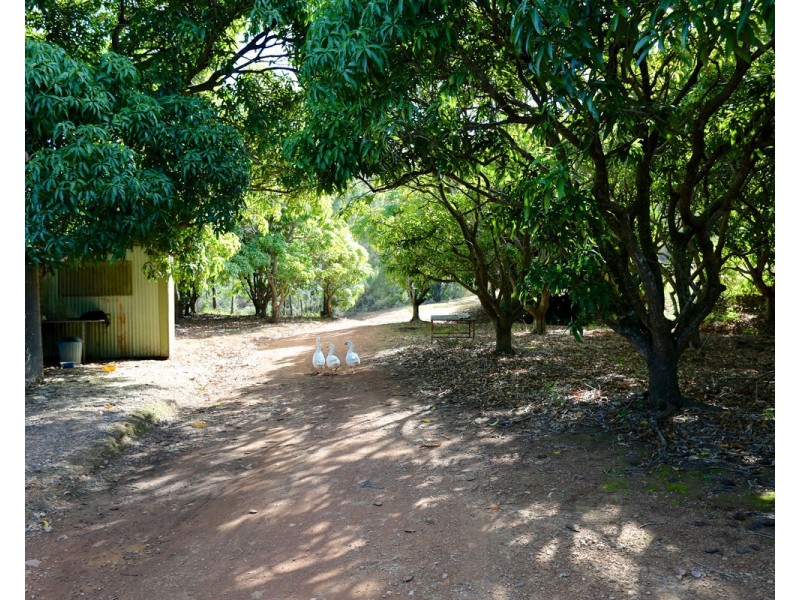 49 Clinton Road, Cawarral QLD 4702