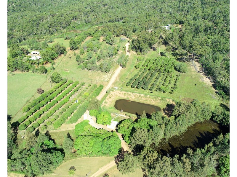49 Clinton Road, Cawarral QLD 4702